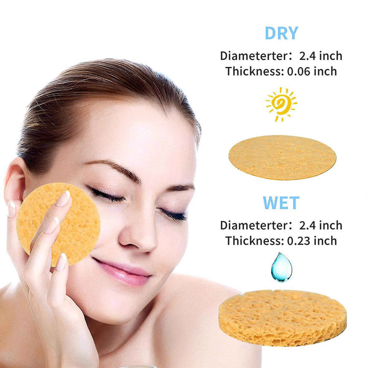 Round Face Sponges • 10 Pack