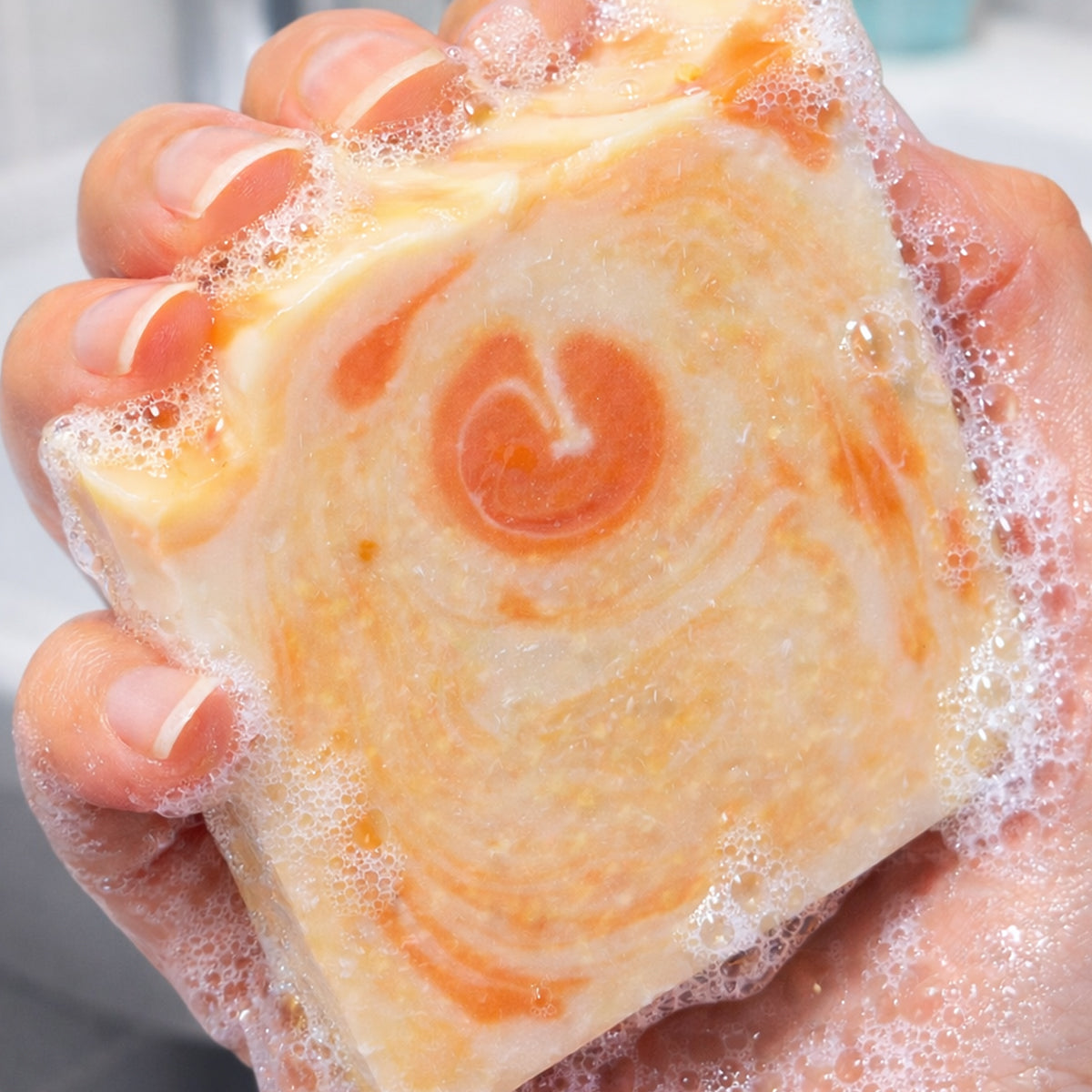 Candy Cane • Barra