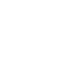 Vitamina E Protege Tus Labios
