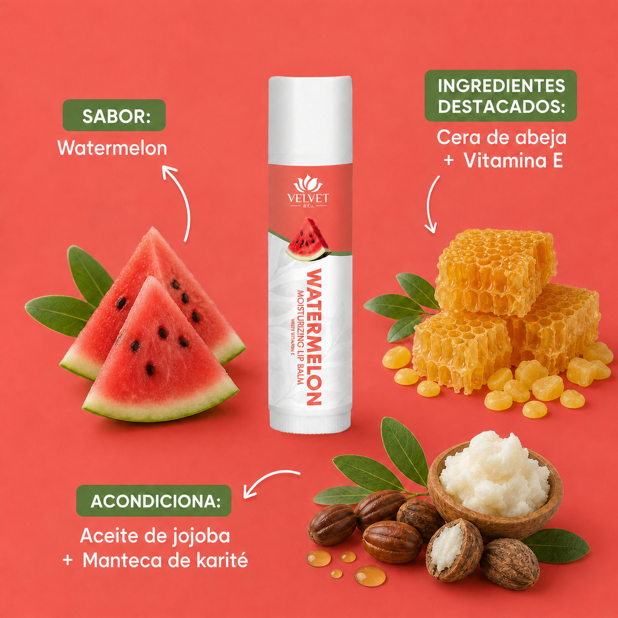 Infografia del balsamo labial Watermelon con sabor e ingredientes destacados