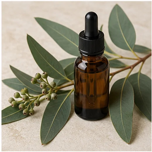 Aceite esencial de eucalipto